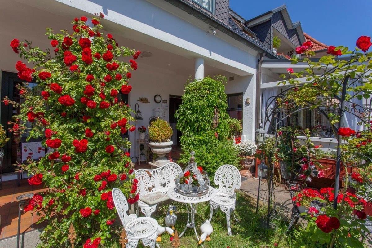 Cafesahne U Pension Dranske Dış mekan fotoğraf